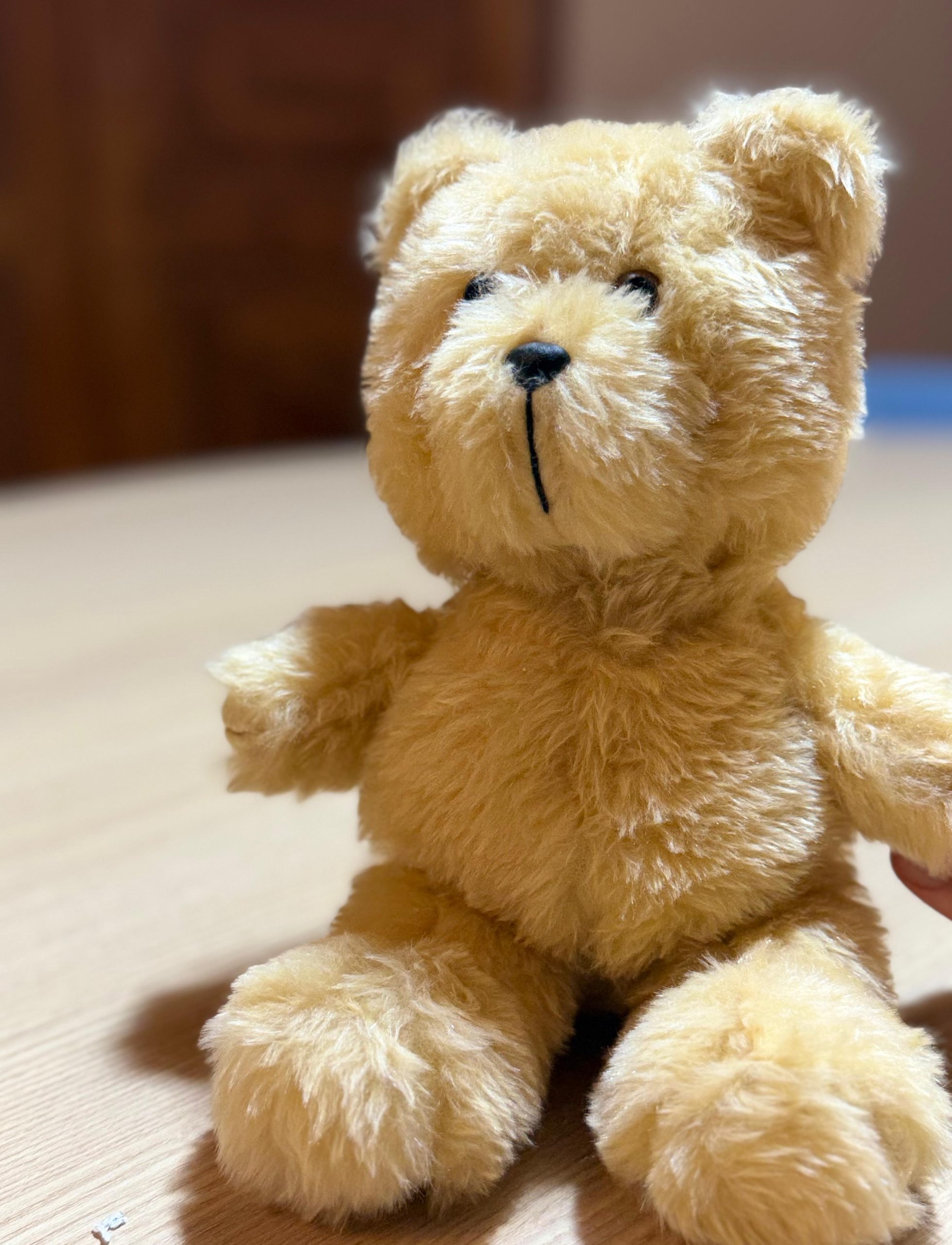 Infantil 1 - Kit Baby Bear - Learning Fun - Primeiro Semestre - Imagem 4